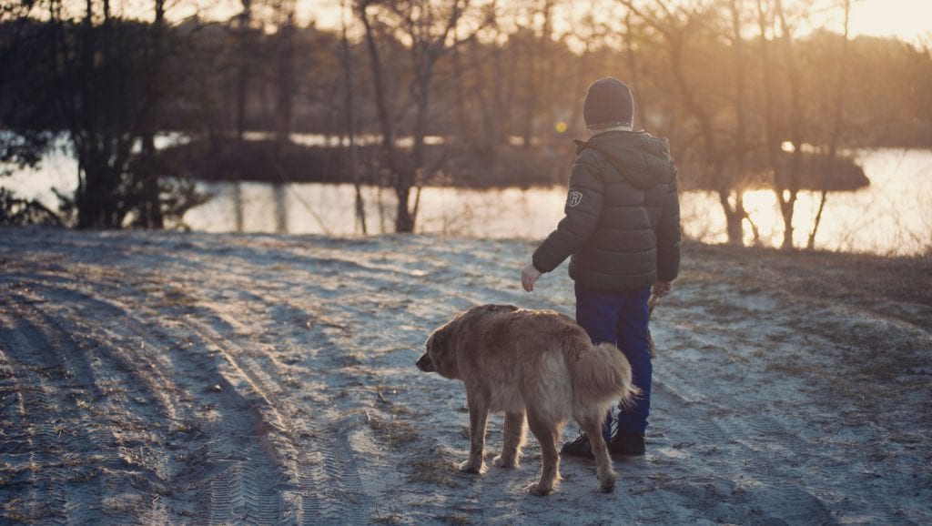 hund og barn i sneVuffeli hundeblog