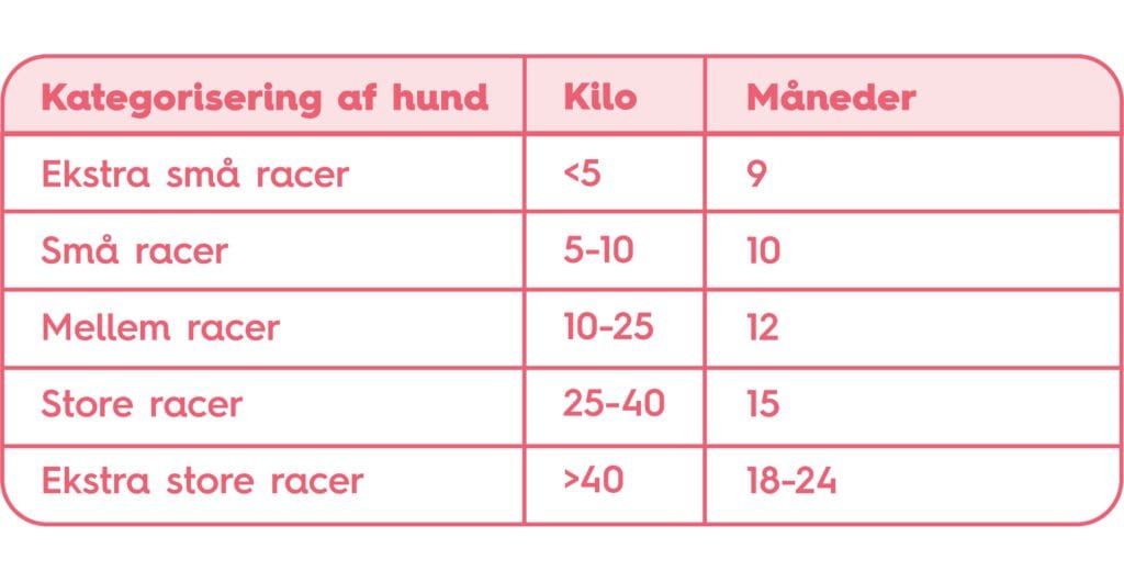 hunderace størrelser kategoriseret efter vægtVuffeli hundeblog