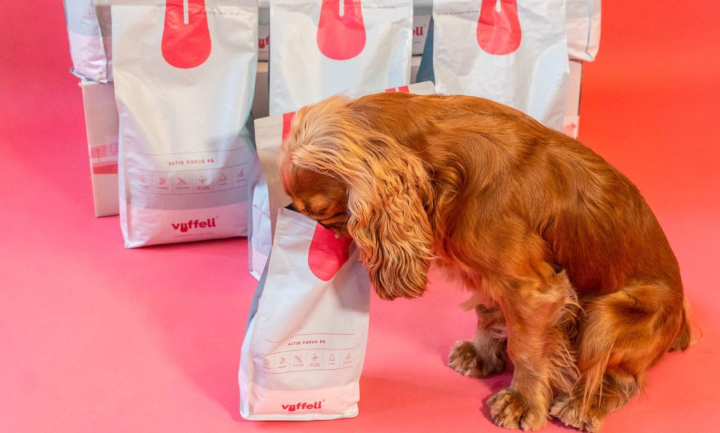 gylden cocker spaniel har stukket snuden i en pose VuffeliVuffeli hundeblog