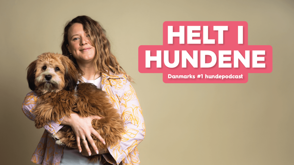 Vuffeli hundeblogVuffeli hundeblog