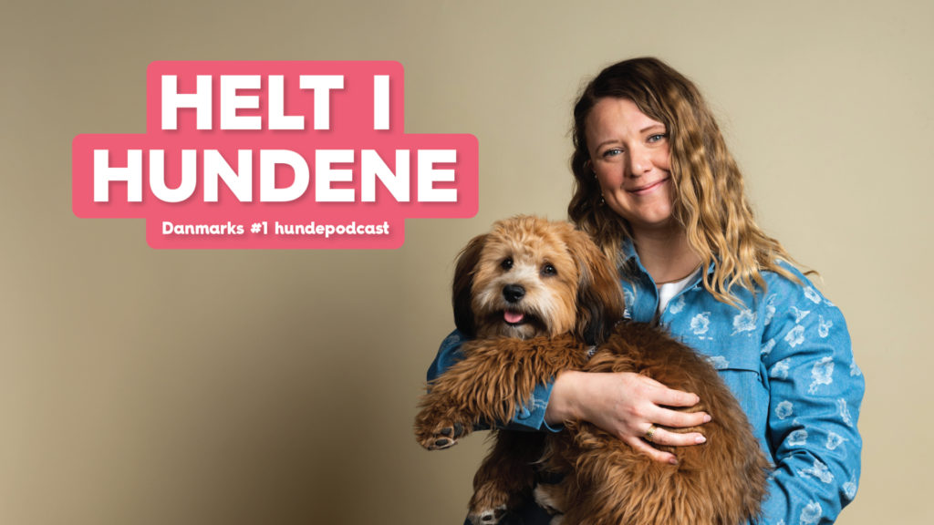 Vuffeli hundeblogVuffeli hundeblog